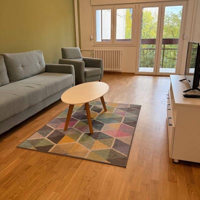 Location d’un appartement lumineux de 2 pièces, 65 m², Belgrade, Serbie